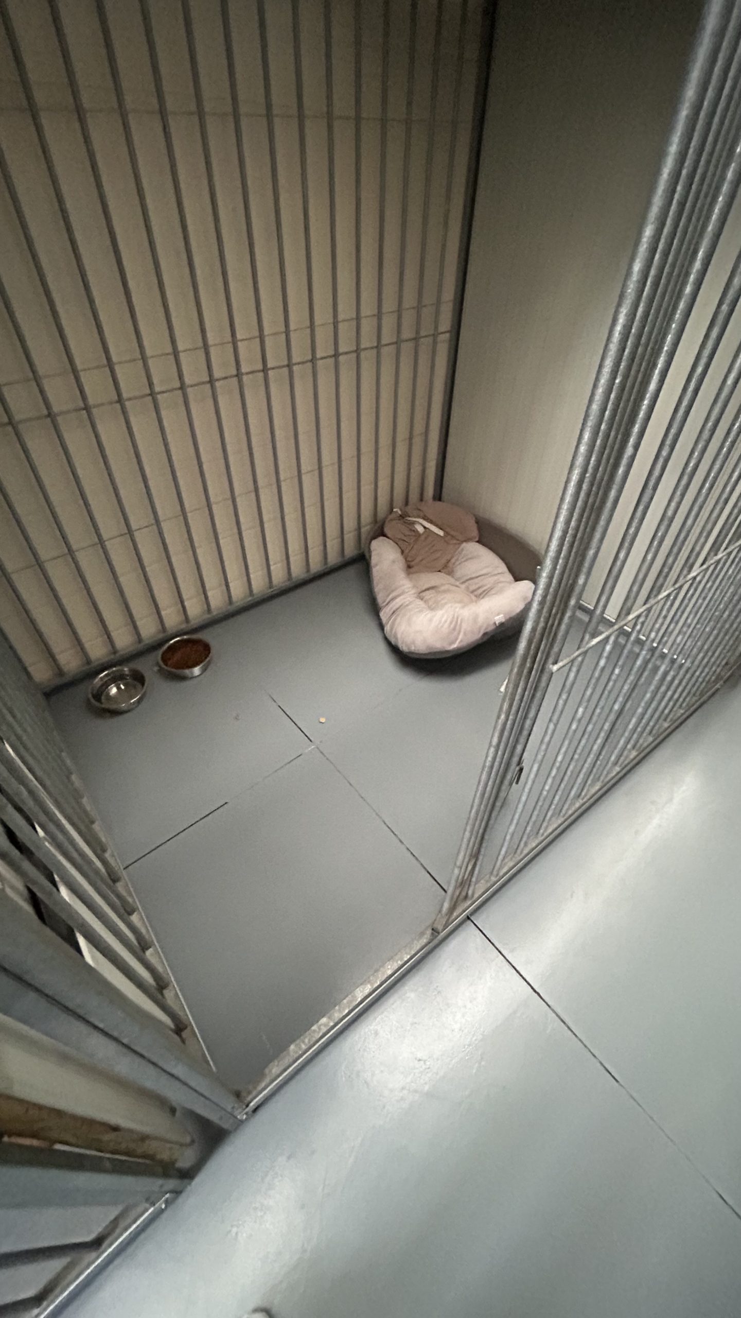 Box individuel chauffé de Pension Câline à Courrière, Namur